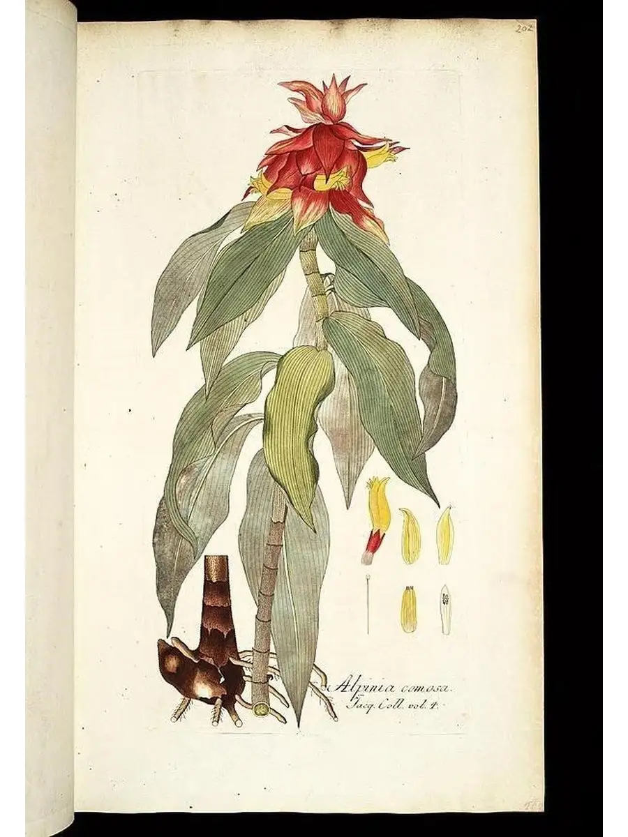 Ботаника табличка металлическая