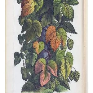 Ботаника табличка металлическая