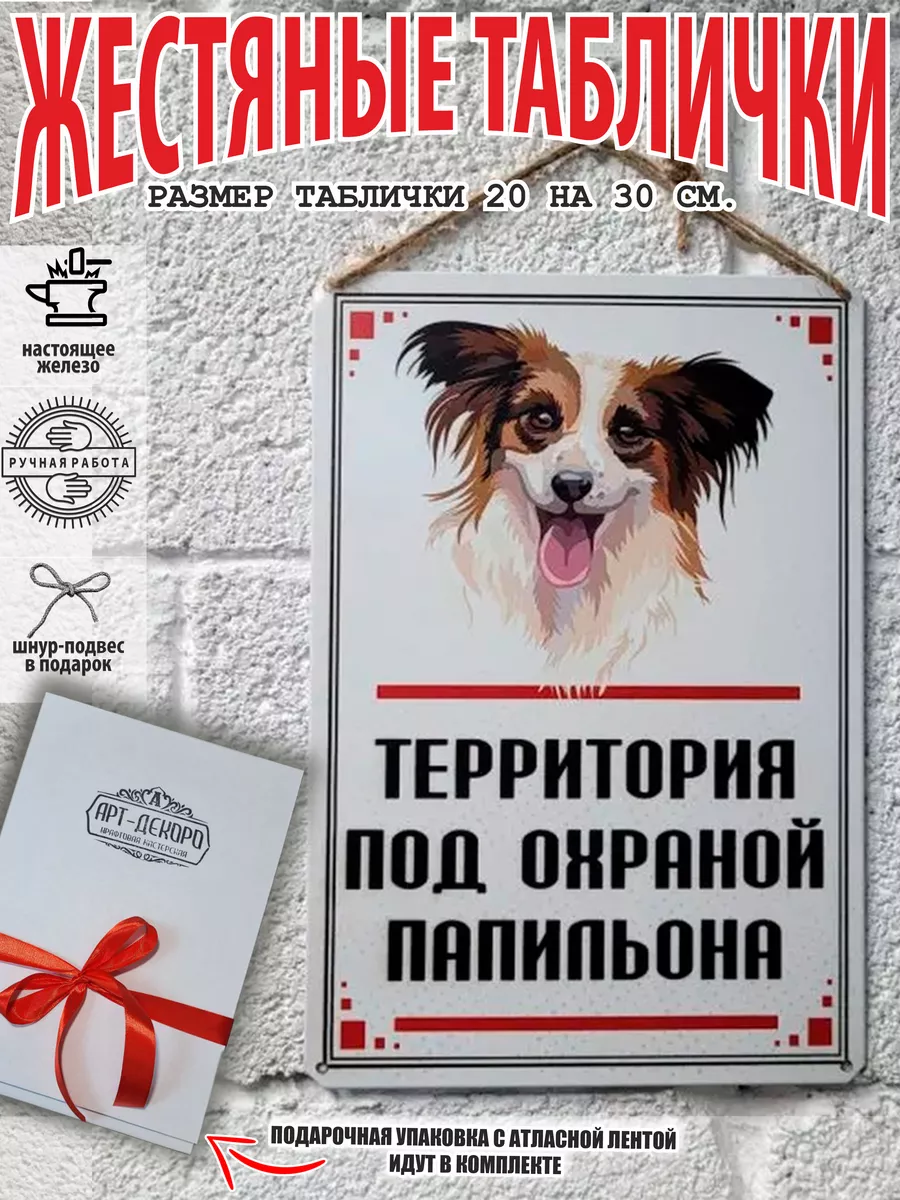 Территорию охраняет собака папильон