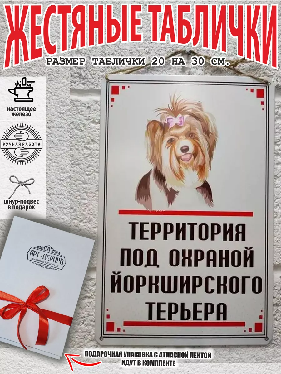 Территорию охраняет йоркширский терьер