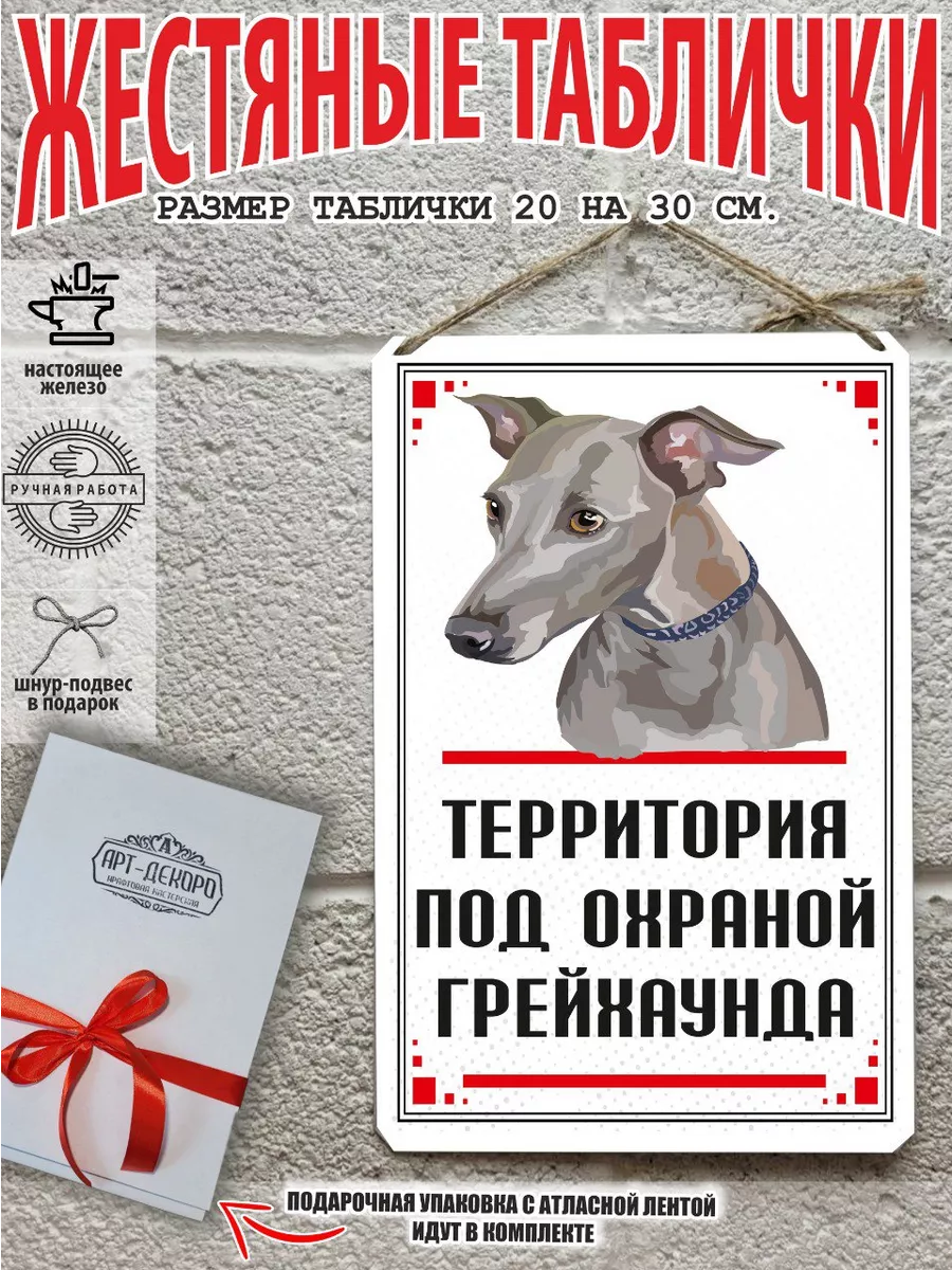 Территорию охраняет собака грейхаунд