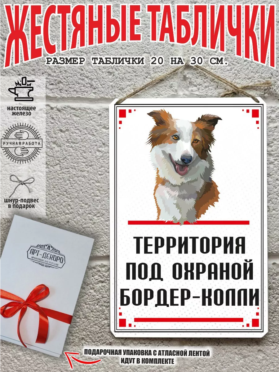 Территорию охраняет бордер-колли