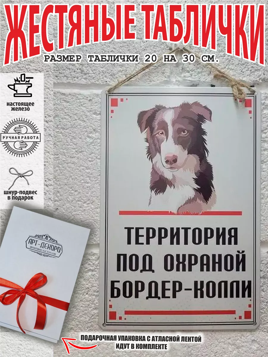 Территорию охраняет Бордер-колли