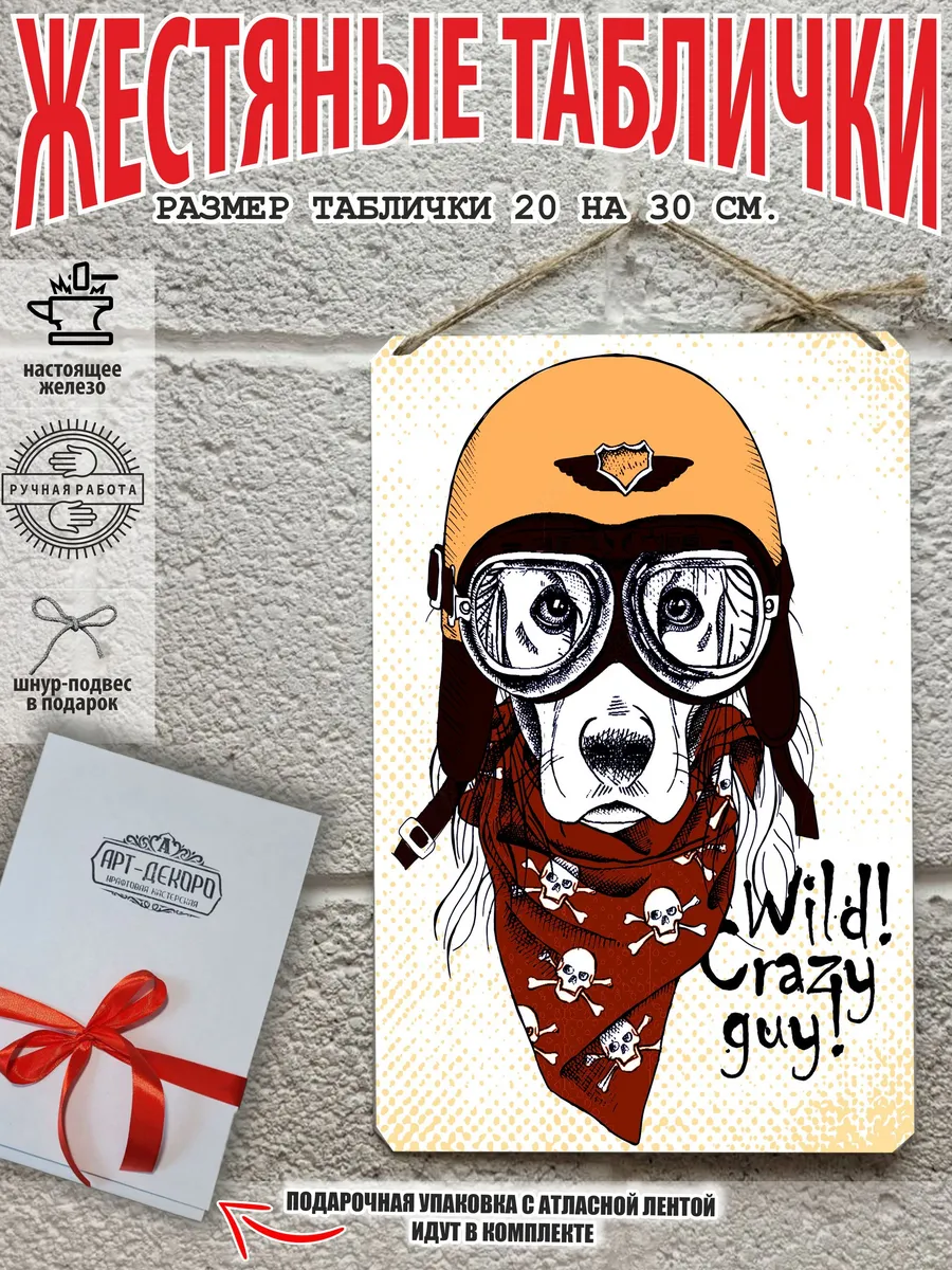 собака байкер постер