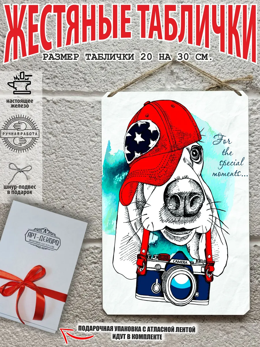 собака фотограф постер "the Special moments…"