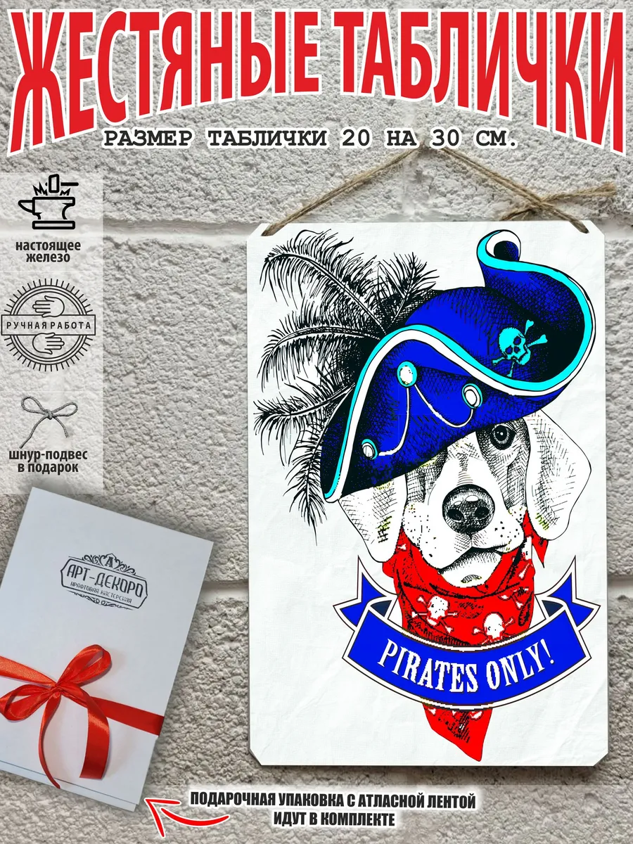 собака в пиратской шляпе арт постер